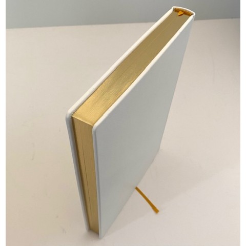 Schreib- und Tagebuch, Leder
